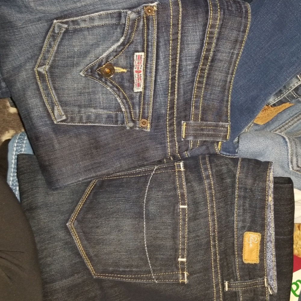 Hudson and paige jeans